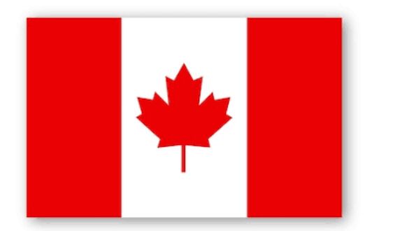 WhatsApp Image 2025-03-15 at 2.34.59 AM