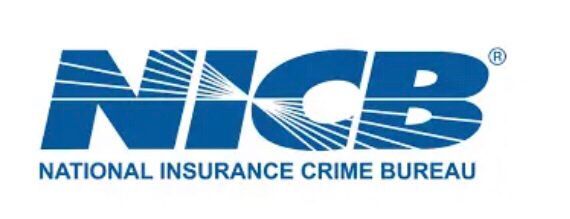 WhatsApp Image 2025-03-15 at 2.38.16 AM